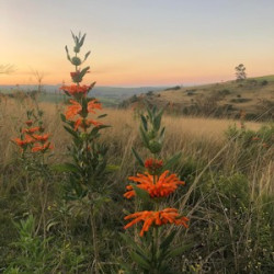 International Climate Action Pilot Programme in South Africa Positions Tourism as a Force for Conservation