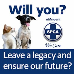 Wills Week Alert! It must say "uMngeni SPCA" for your bequest to benefit uMngeni SPCA