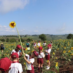 A bright and beautiful excursion for Cowan House Grades 3 and 5