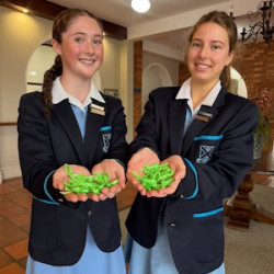 St Anne's Diocesan College prioritises Mental Health Awareness