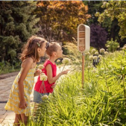 5 Easy Steps to Create a Thriving Haven for Birds, Bees and Biodiversity
