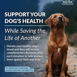 Canine blood donors needed - Hilton Veterinary Hospital