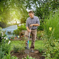 Weeding out the grey areas - Garden Facts vs Fiction