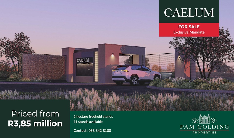 CAELUM hilton d534