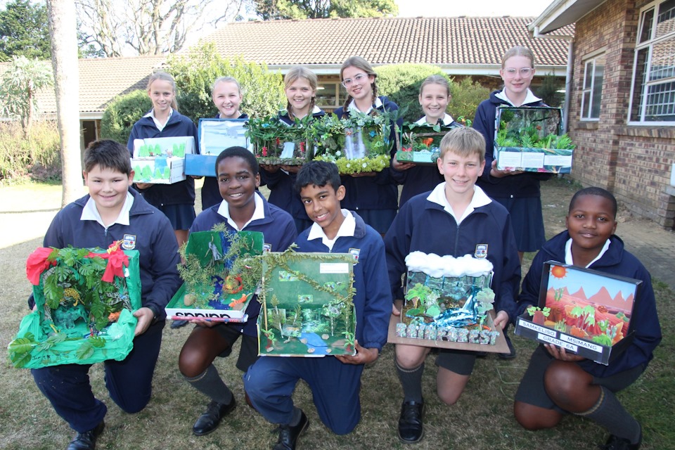 biomes in a box2