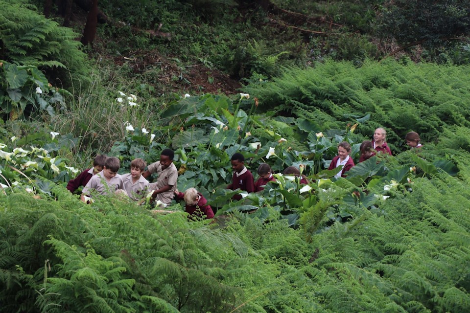 cowan house at doreen clark