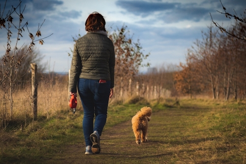 hilton dog walker