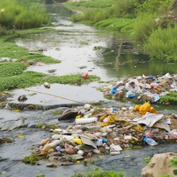 litter