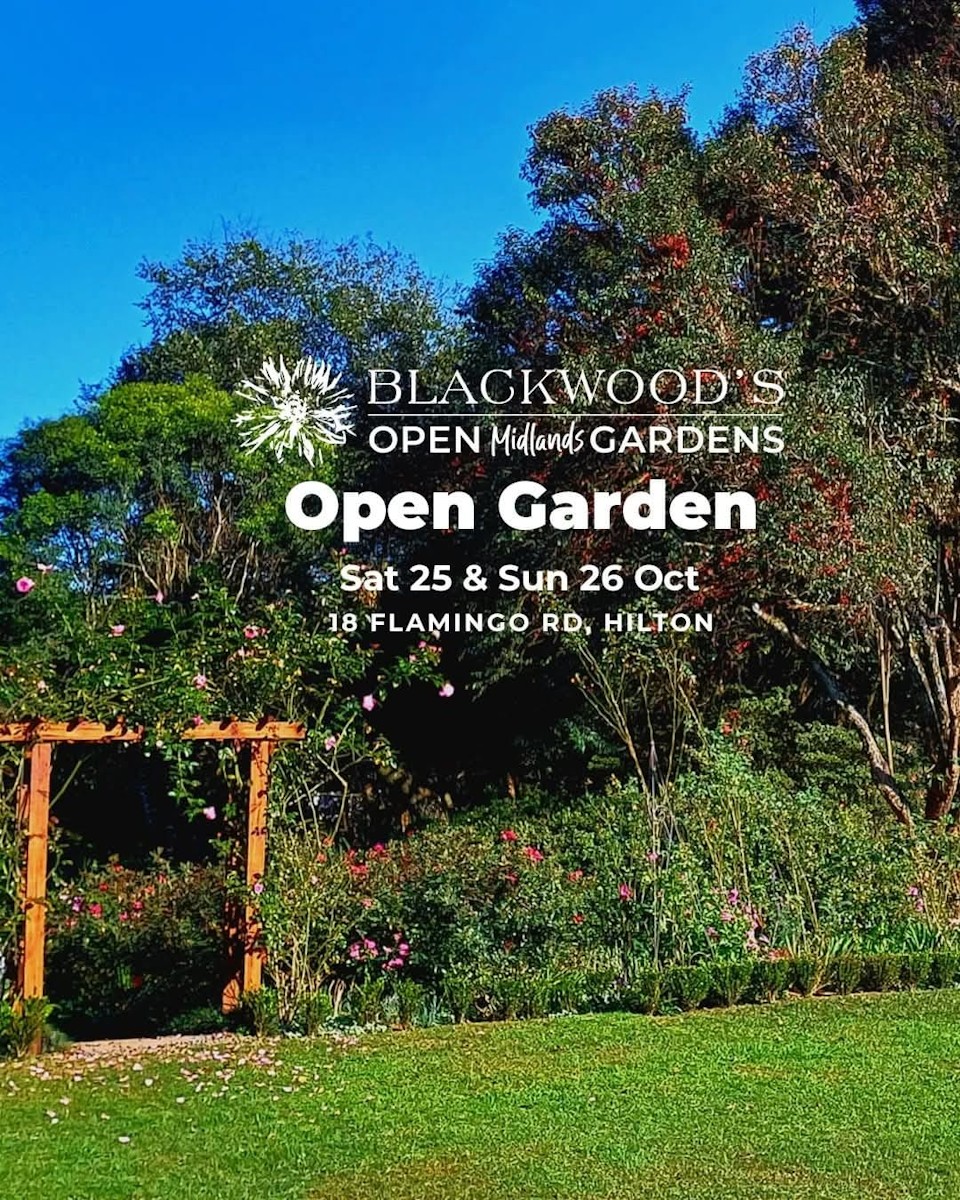 18 flamingo drive open garden hilton