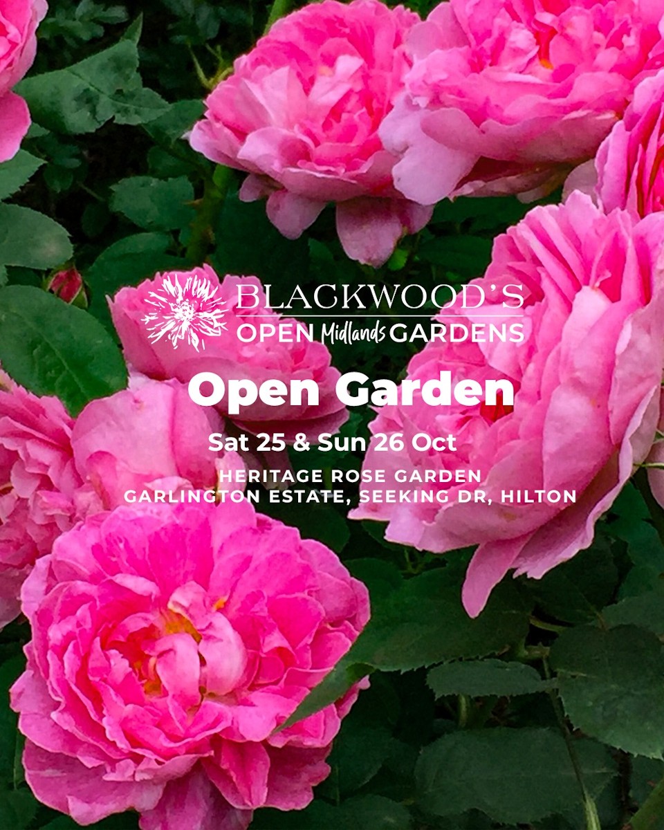 heritage estate garlington hilton