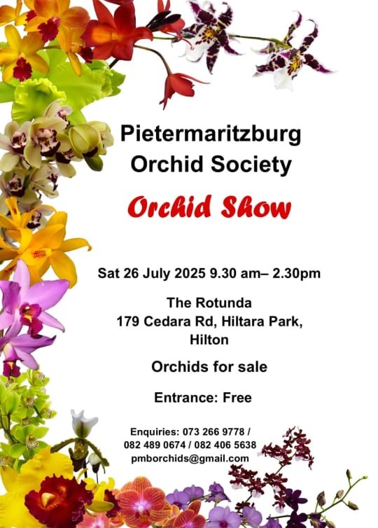 orchid society exhibit