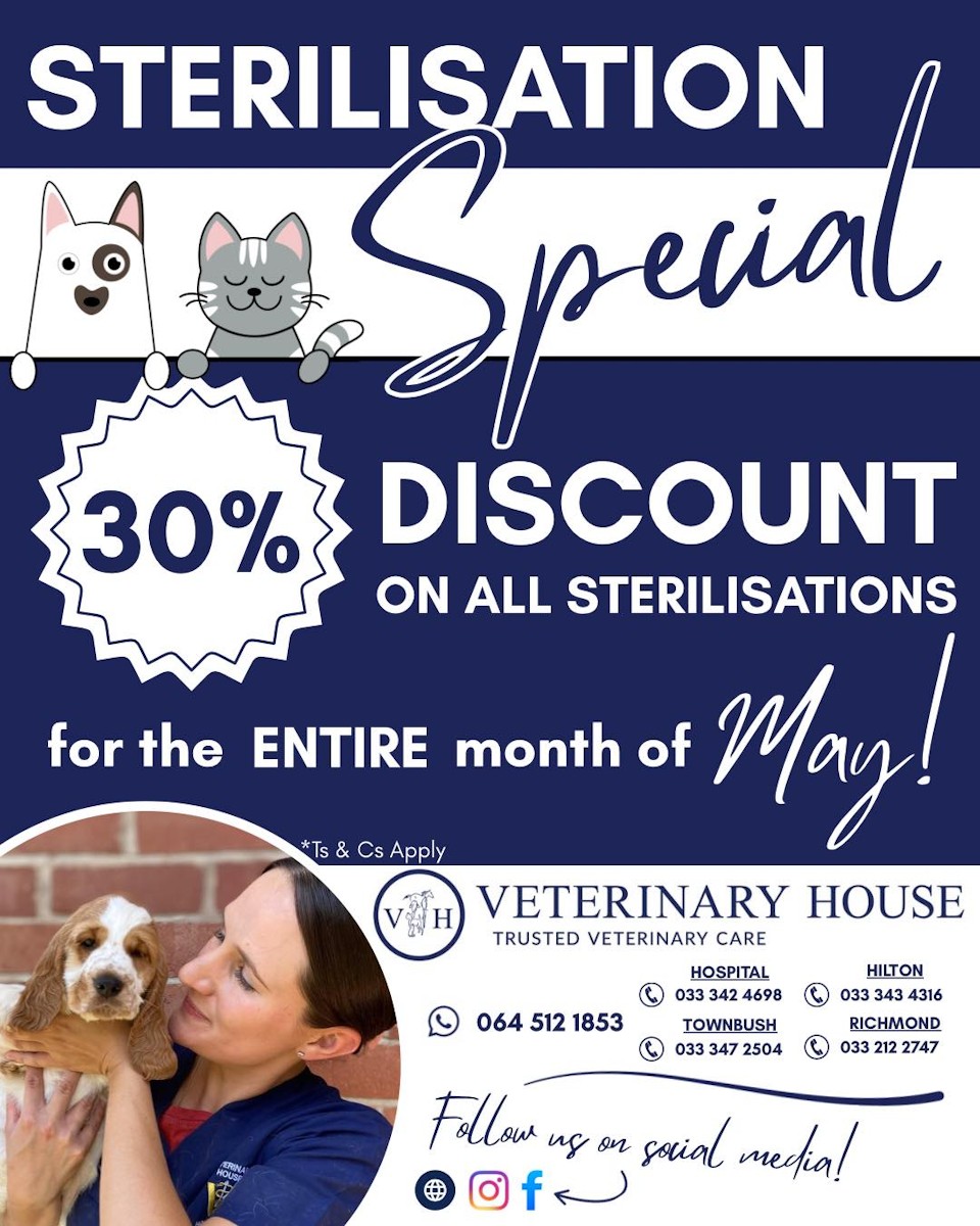 steri month vet house