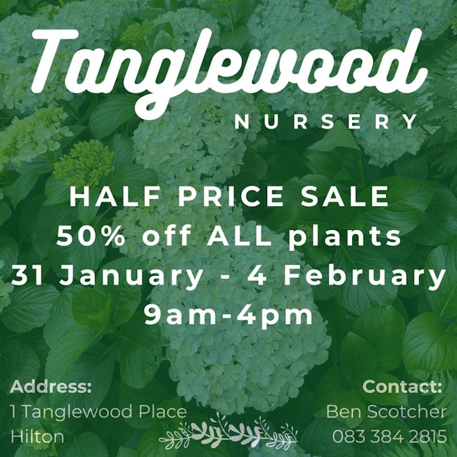 tangle wood sale dates