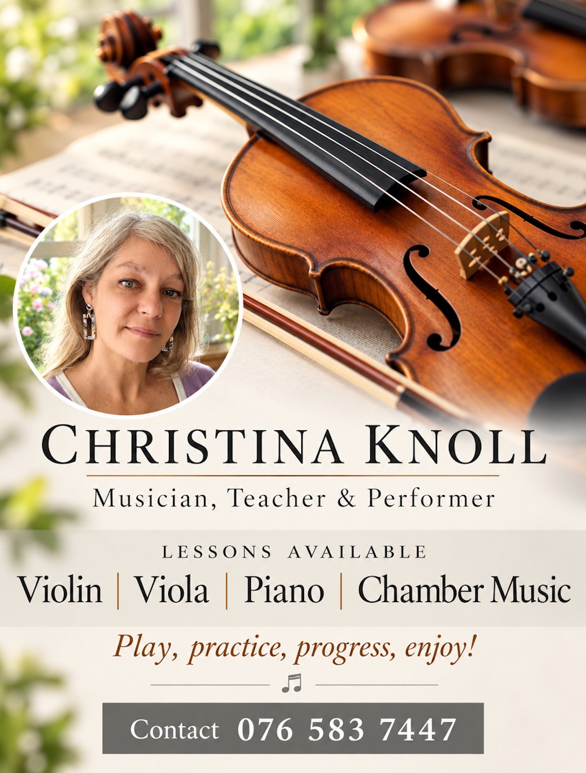 Elegant Violin Lesson Flyer