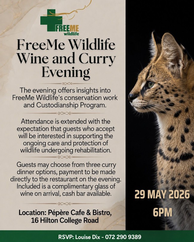 freeme curry night invite copy