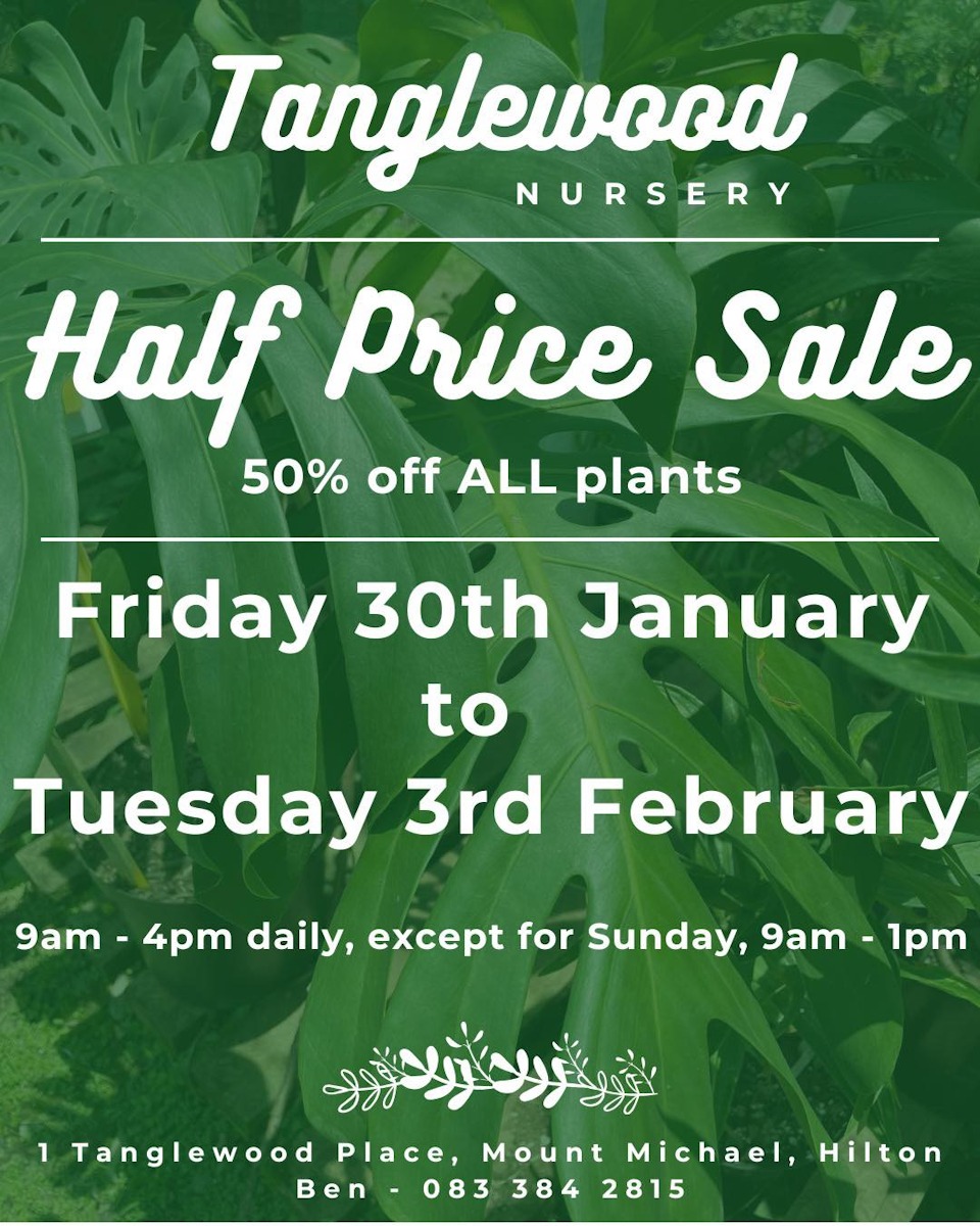 tanglwood sale 30 jan event