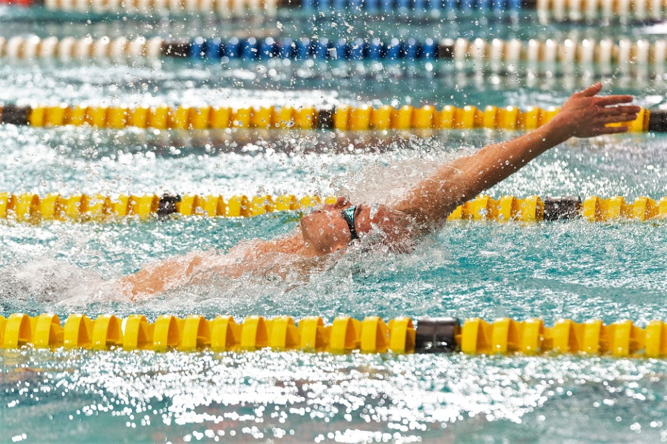 Martin Bindell