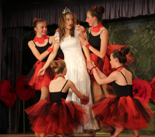 Poppies Good witch