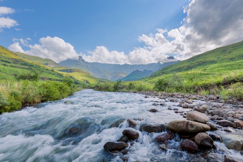 Water Primary image