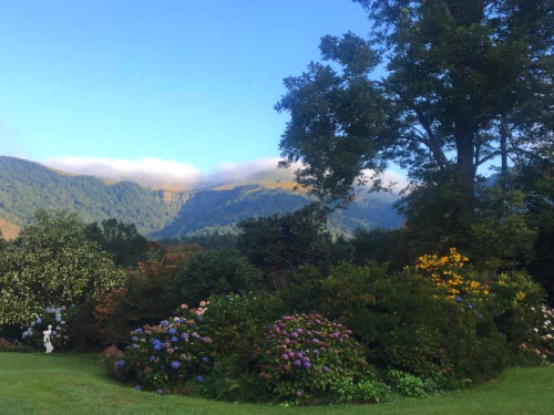 braco open garden karkloof howick