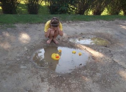 hilton pothole duck