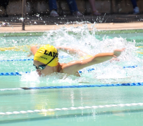 Joshua Wessels Oribi 002