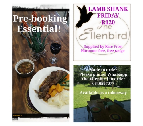 The ellenbird shank news