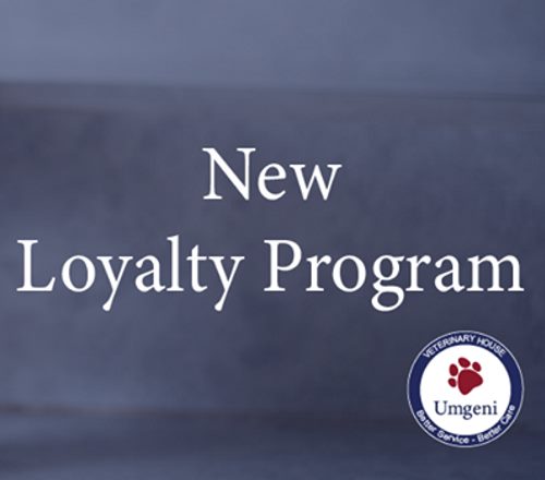 vet clinic loyalty programme
