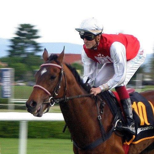 hollywood bets durban july