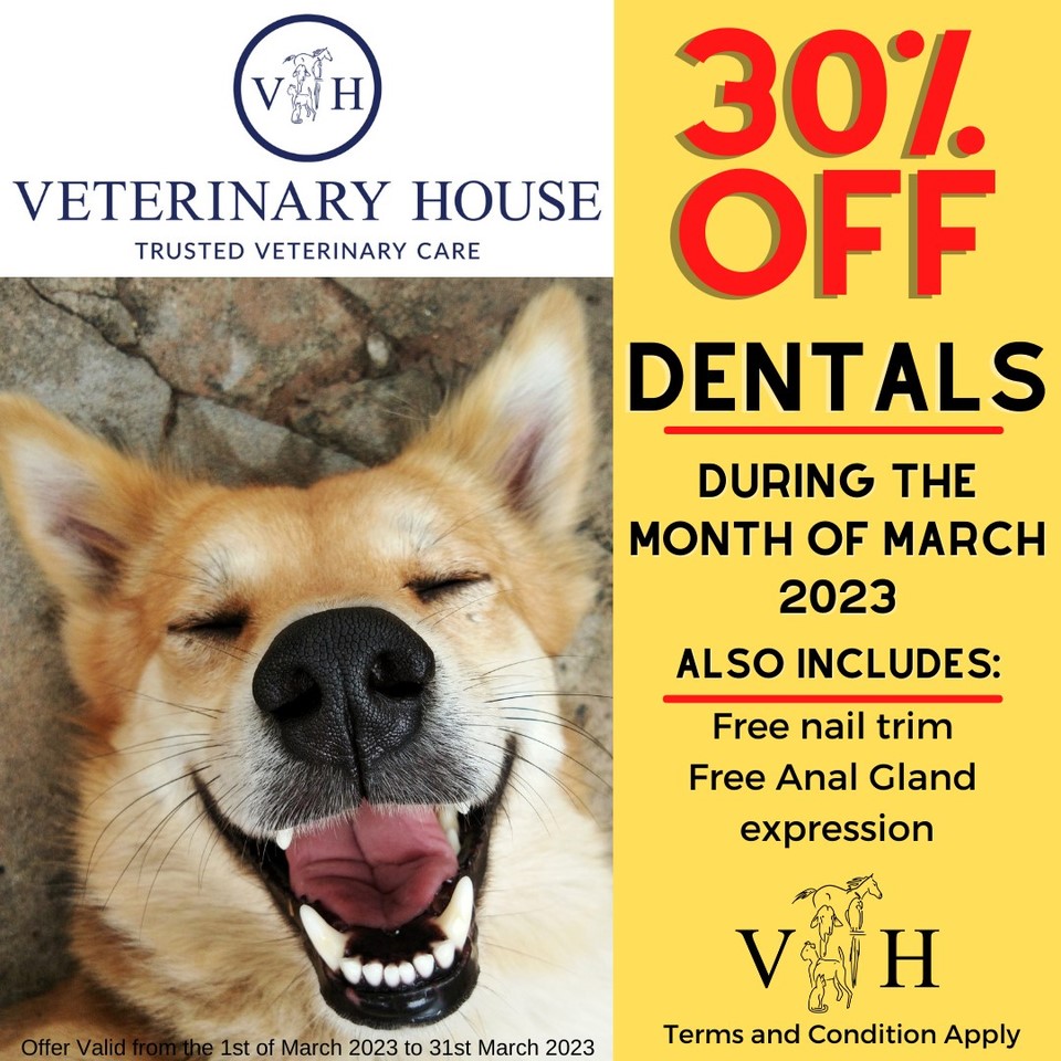 march hilton 2023 umgeni vet 960