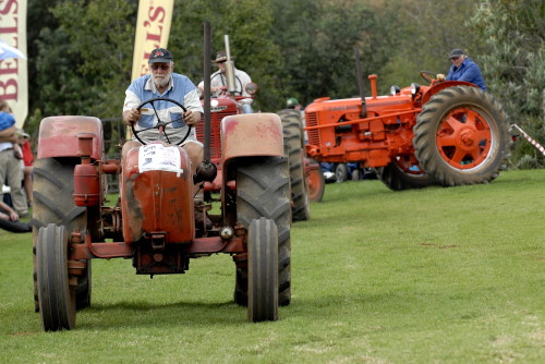  DSC0027a