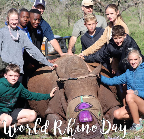 cowan house rhino day