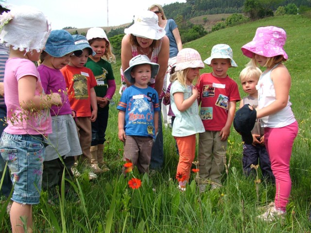 Seedlings_Hilton_Daisy_Outing_