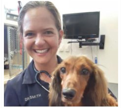anushka hilton vet