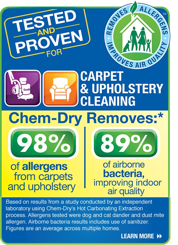 chem dry ad nov16