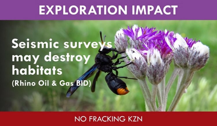 frack free copy