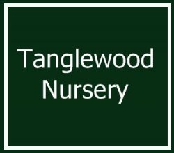 tanglewood nursery logo 250x220