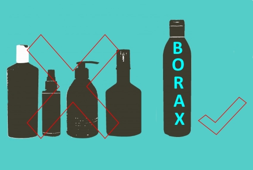 borax newsy