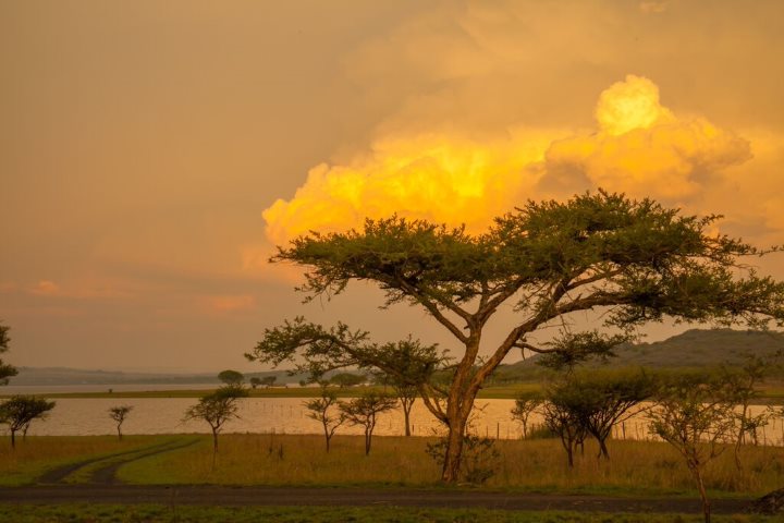 emanzini path dam sunset 9 newsy copy