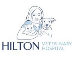 hilton vet news cover 250 220