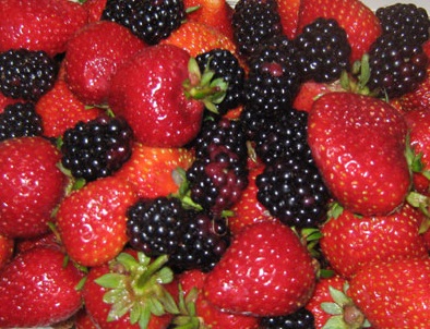 berries