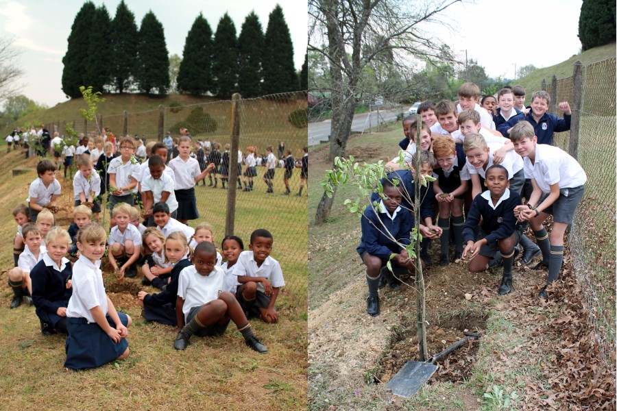 laddsworth hilton tree planting