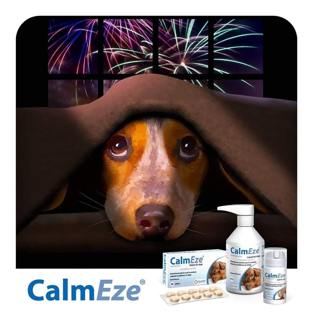 hilton calm pet umgeni vet