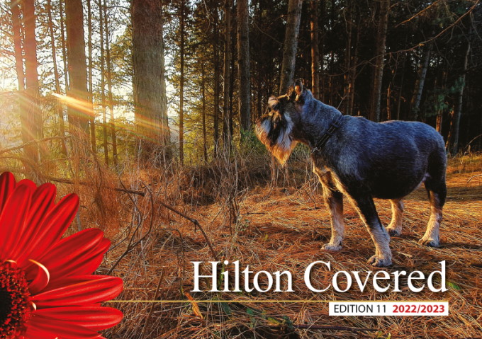 HiltonVillage.co.za