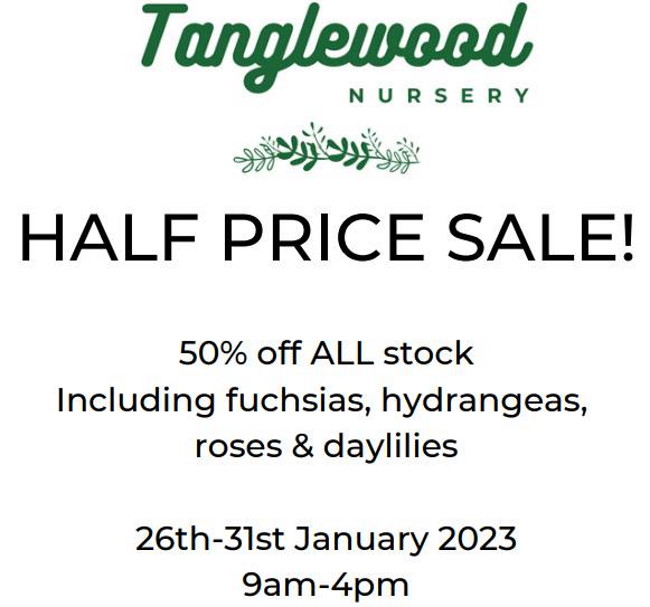 tanglewood hilton jan half price