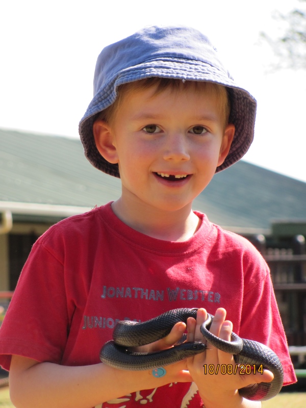 snake handler at hpp