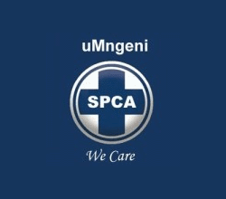 spca