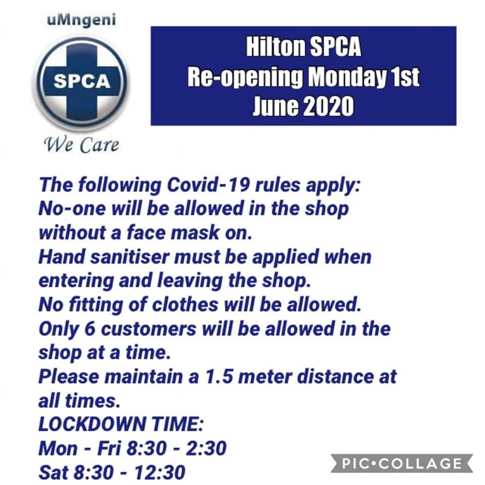 spca shop