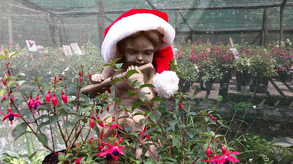 tanglewood festive