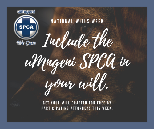 wills week